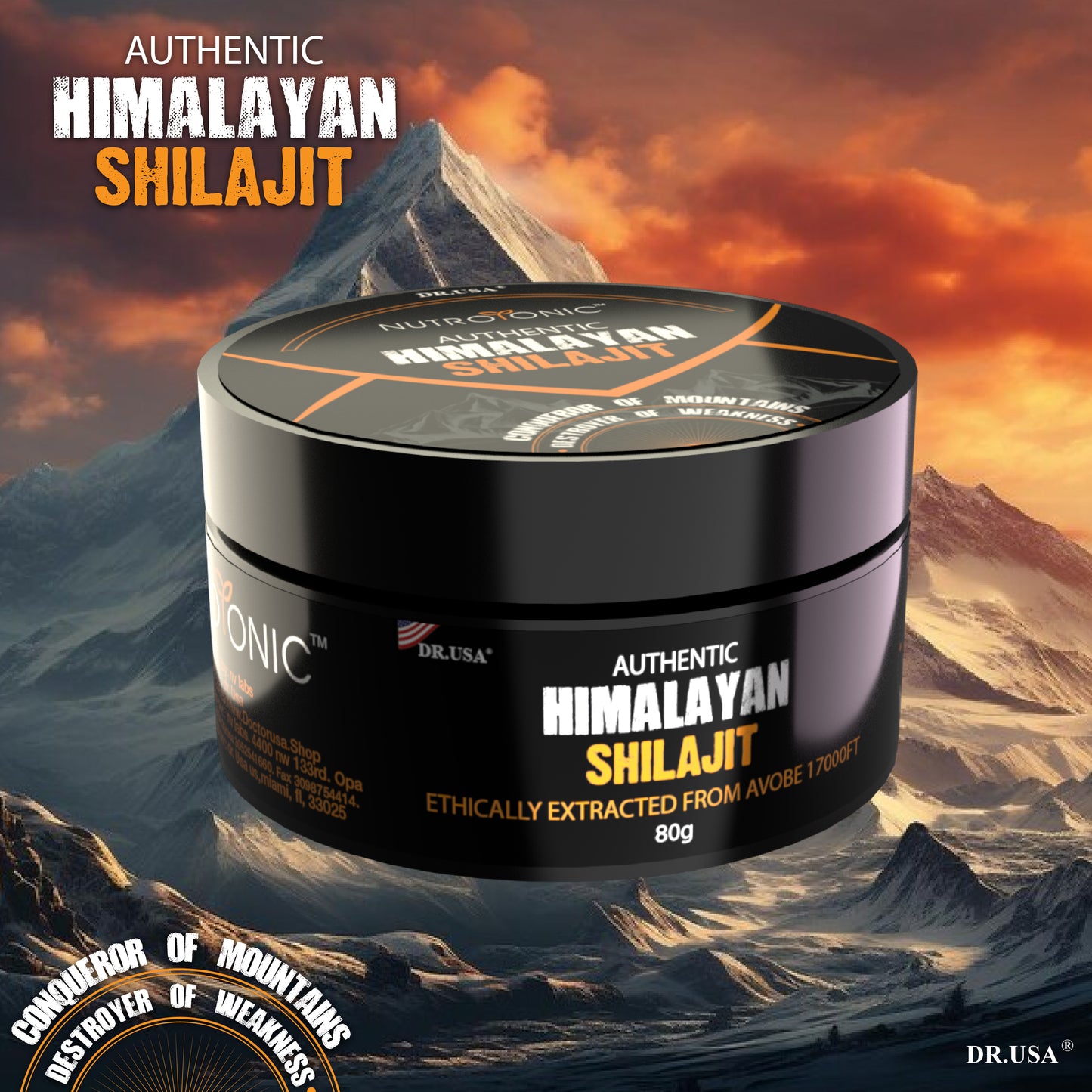 Shilajit Orgánica Pura Del Himalaya De 80g