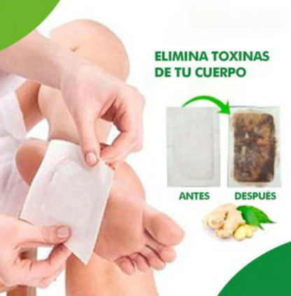 3X1 en Parches Desintoxicantes KINOKI™ - DETOX (30 PARCHES)